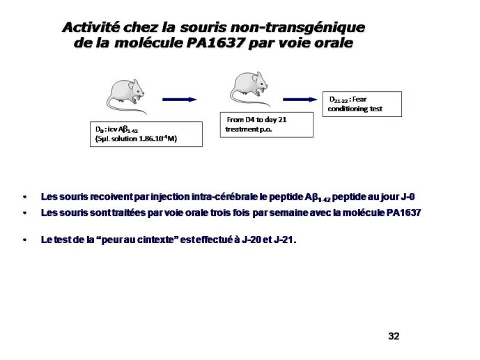 Diapositive32