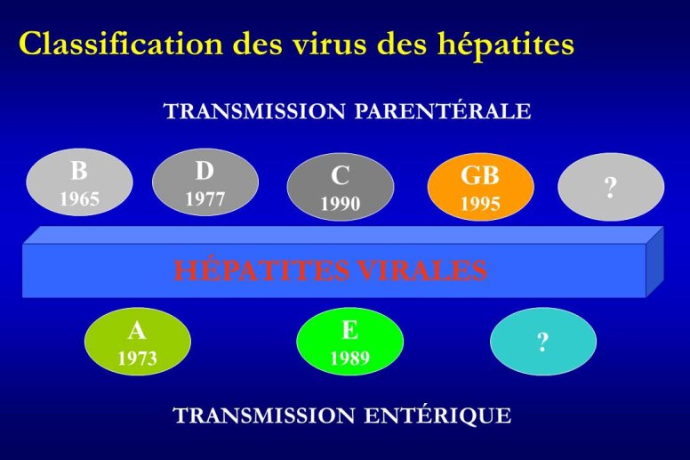 Diapositive3