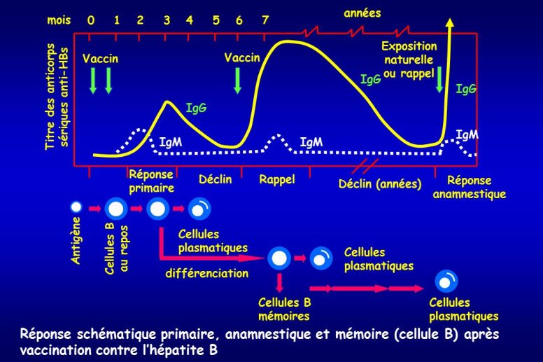 Diapositive22