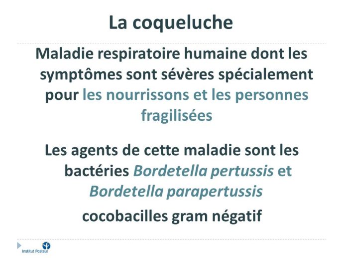Diapositive2