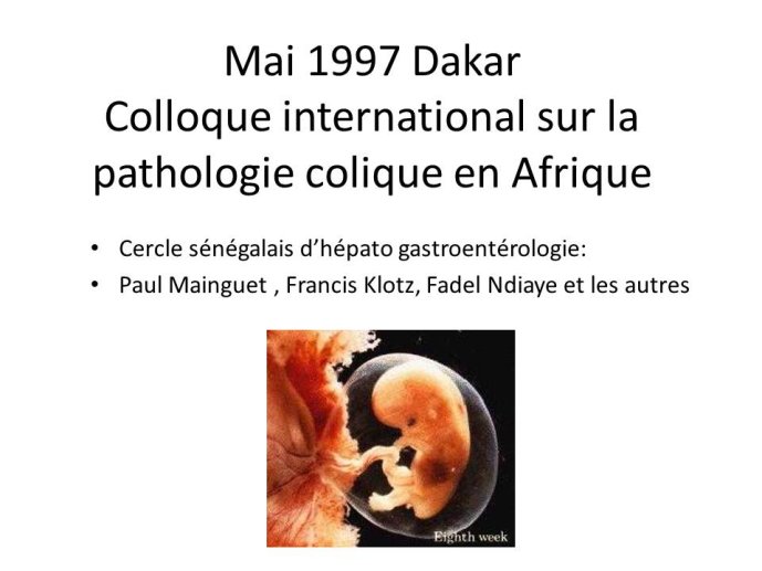 Diapositive3