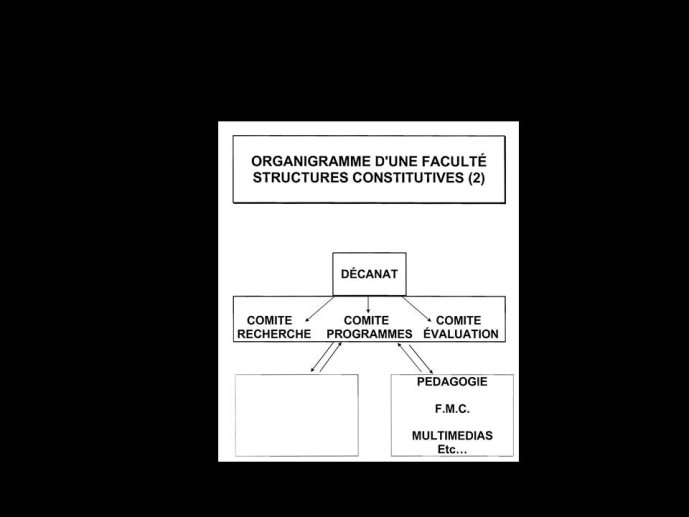 Diapositive13