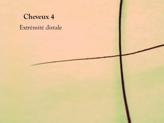 Diapositive52