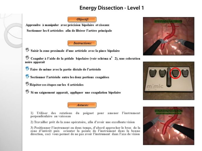 Diapositive11