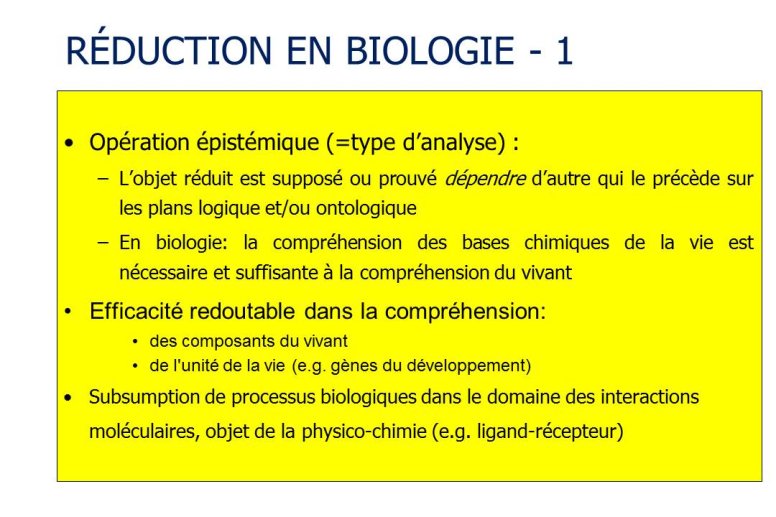 Diapositive16