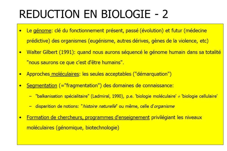 Diapositive19