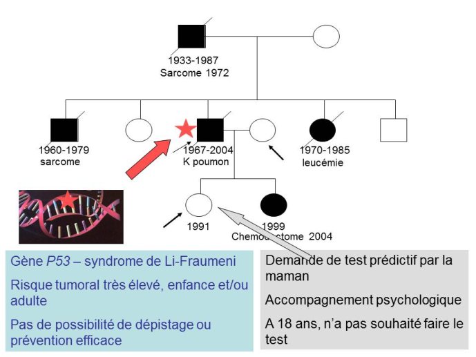Diapositive14