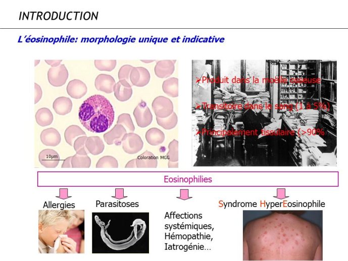 Diapositive2