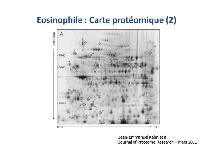 Diapositive35