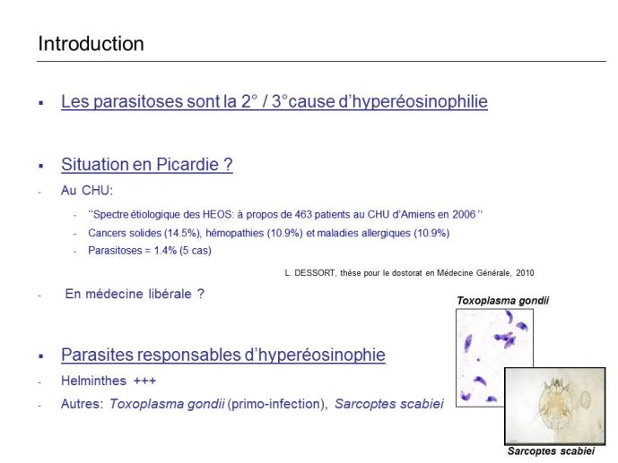 Diapositive2