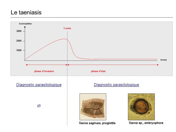 Diapositive9