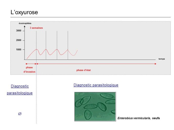 Diapositive15