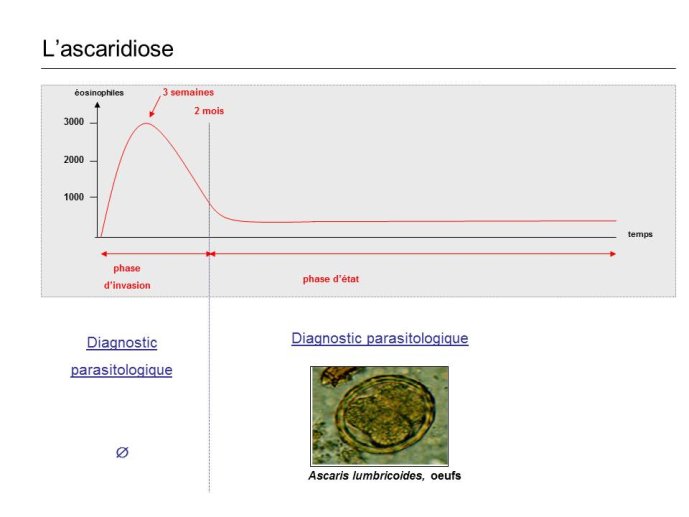 Diapositive18