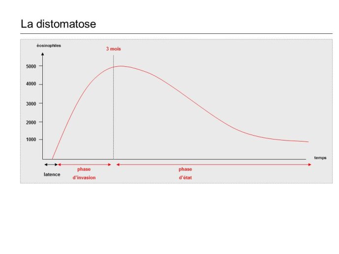 Diapositive20