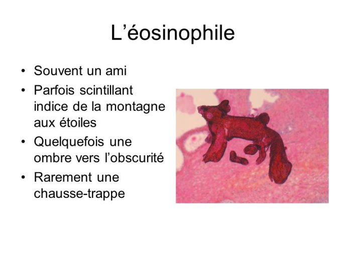 Diapositive2