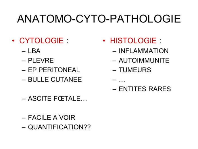 Diapositive3