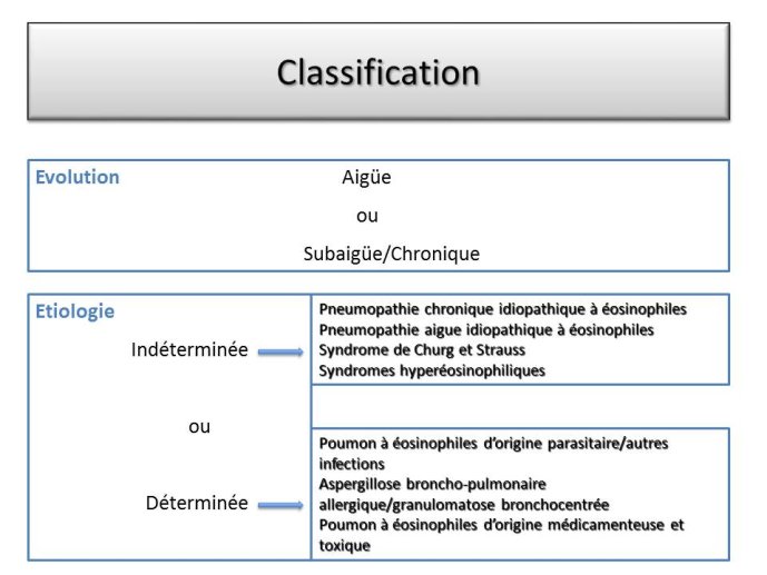 Diapositive12