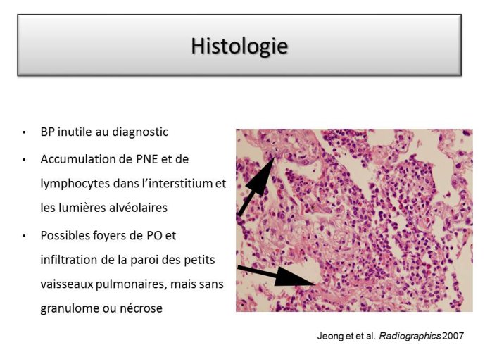 Diapositive22