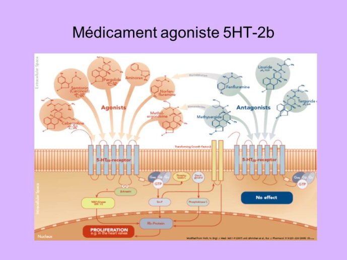 Diapositive22