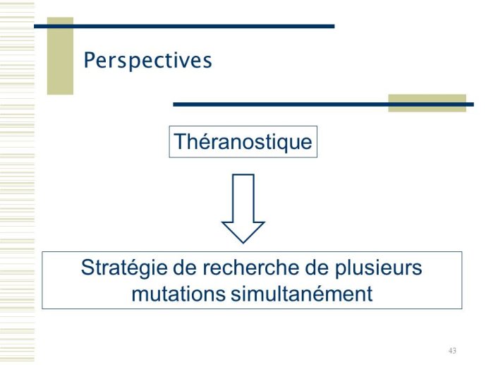 Diapositive43