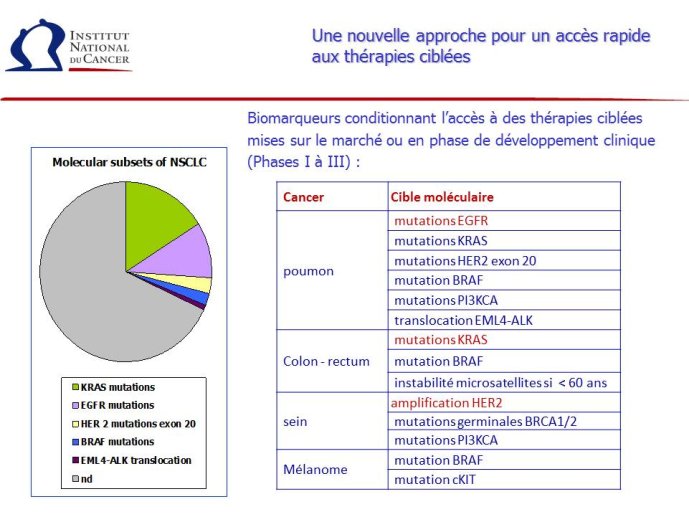 Diapositive13