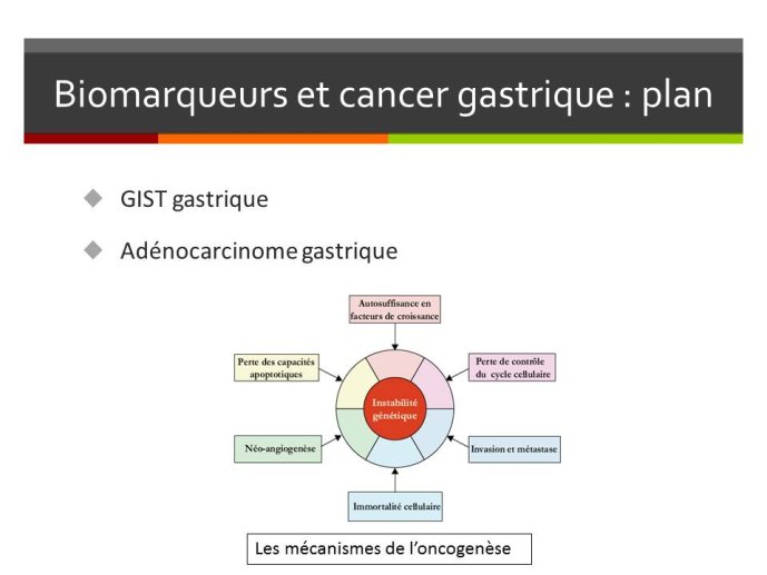 Diapositive2