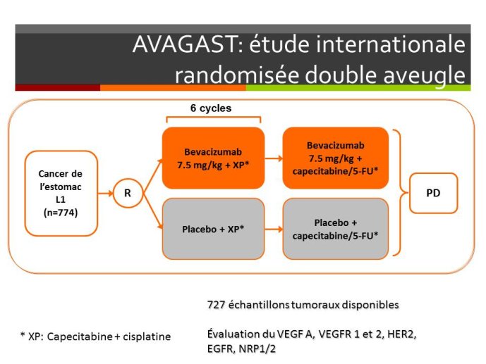 Diapositive29