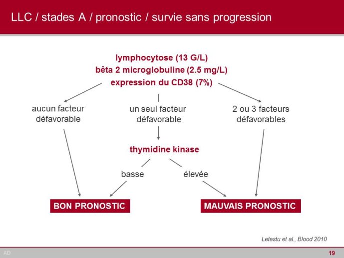 Diapositive19
