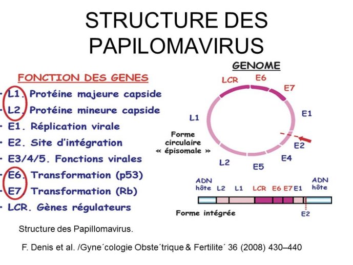 Diapositive23.JPG