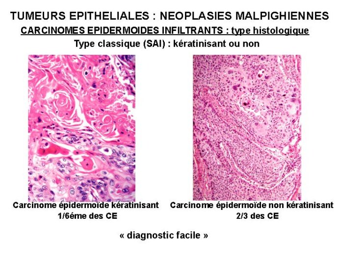 Diapositive63.jpg