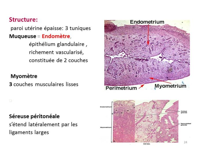 Diapositive24.JPG