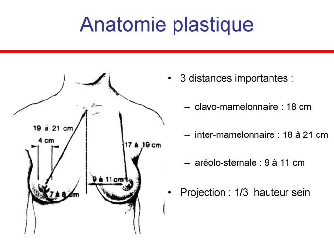 Diapositive53.jpg