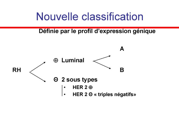 Diapositive94.jpg