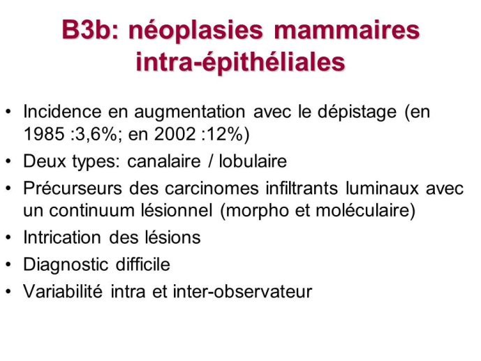 Diapositive13