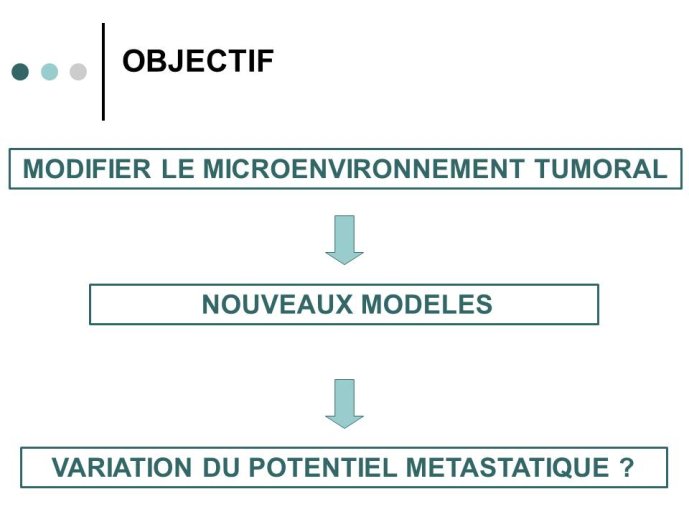 Diapositive2