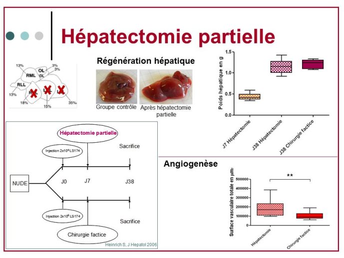 Diapositive8