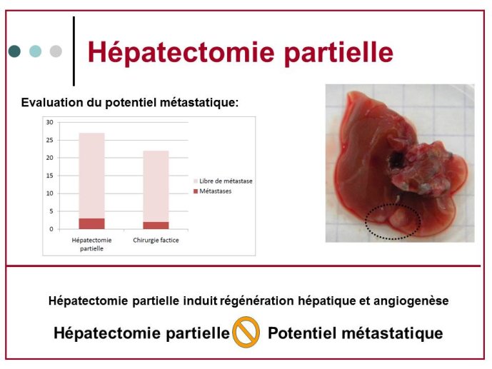 Diapositive9
