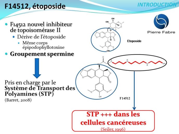 Diapositive3