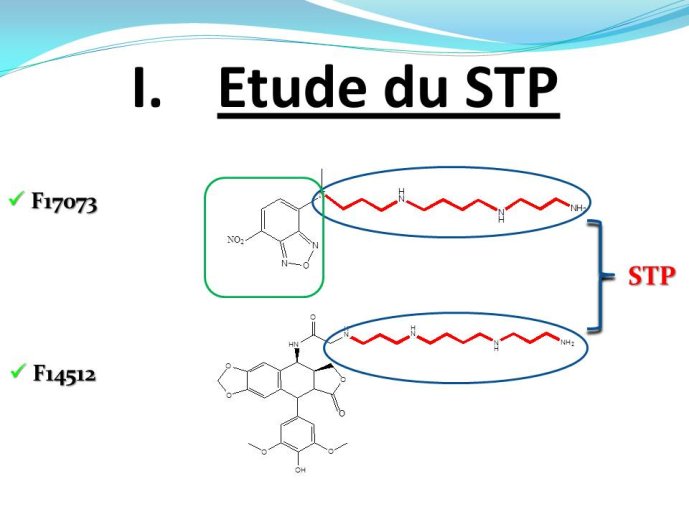 Diapositive6
