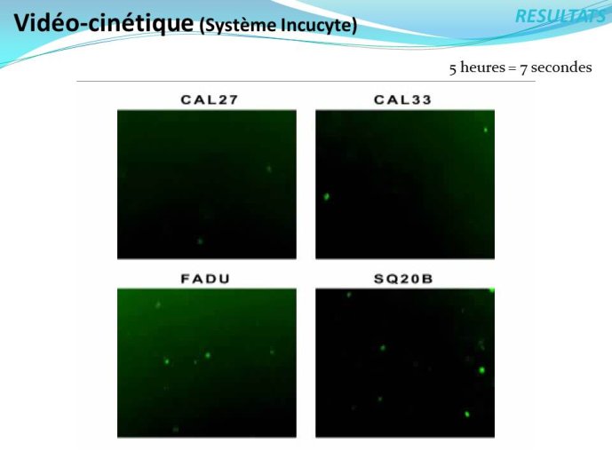 Diapositive8