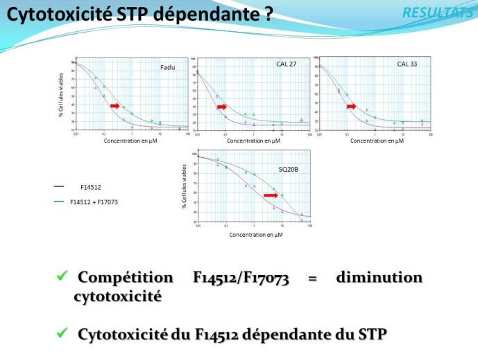 Diapositive12