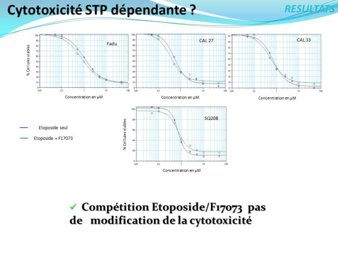 Diapositive13