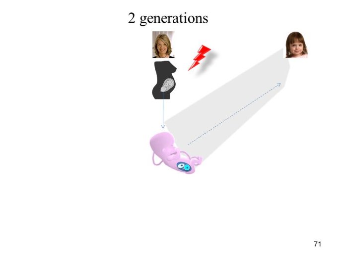 Diapositive71