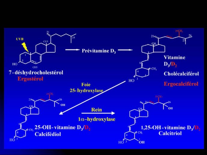 Diapositive5