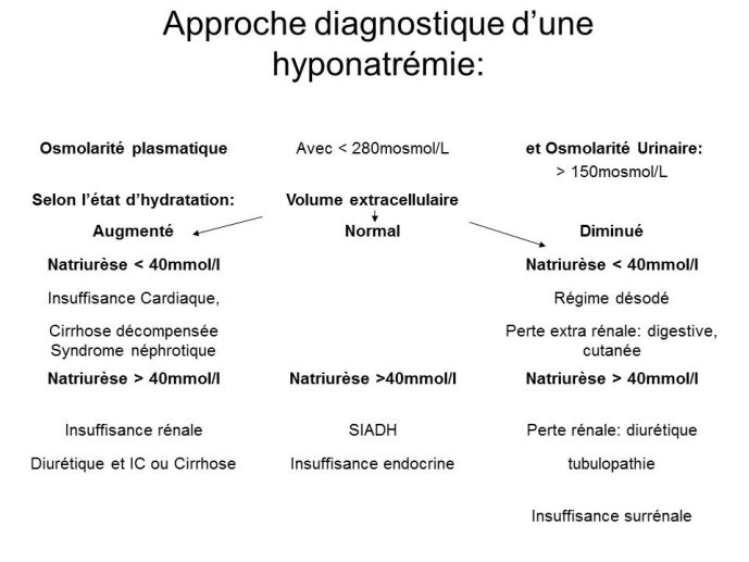 Diapositive72