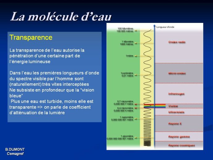 Diapositive12