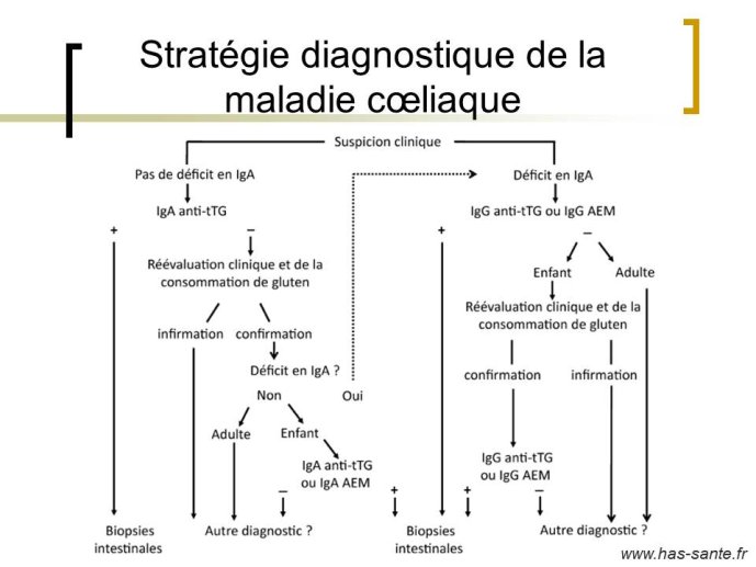 Diapositive58