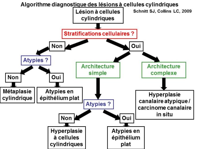 Diapositive5