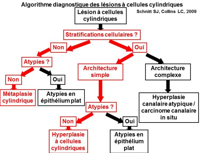 Diapositive6