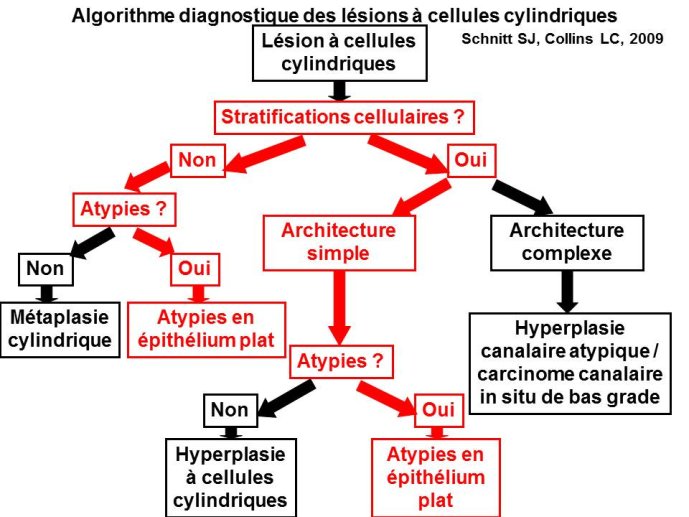 Diapositive8